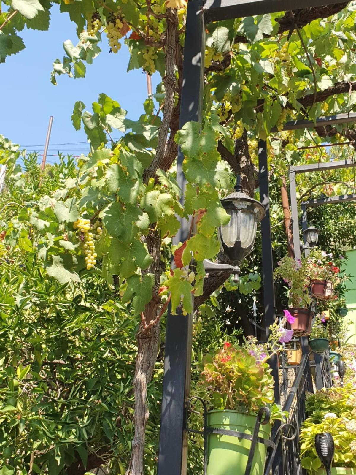 Sara Guesthouse Μπεράτ Εξωτερικό φωτογραφία