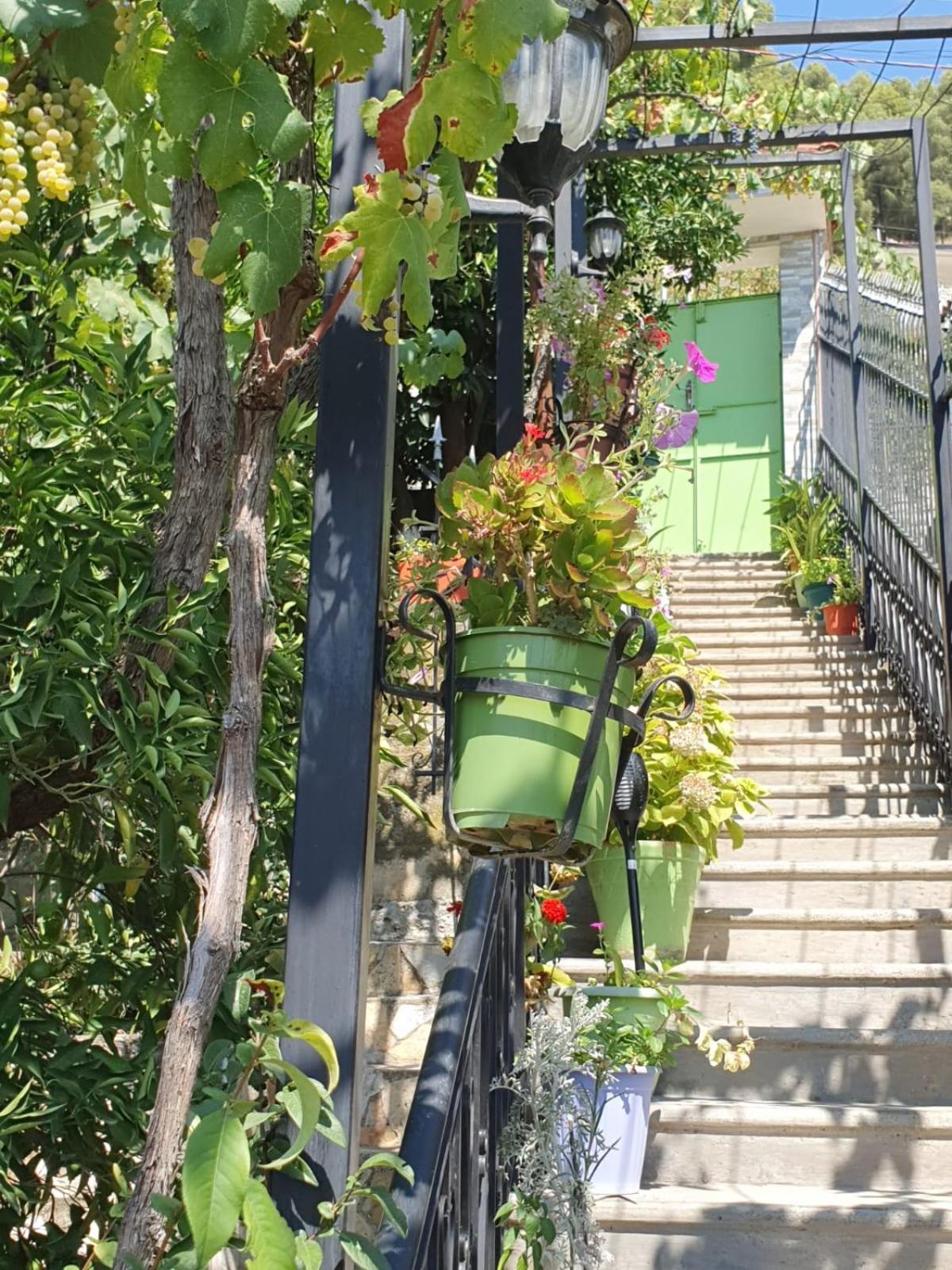 Sara Guesthouse Μπεράτ Εξωτερικό φωτογραφία