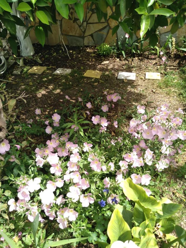 Sara Guesthouse Μπεράτ Εξωτερικό φωτογραφία